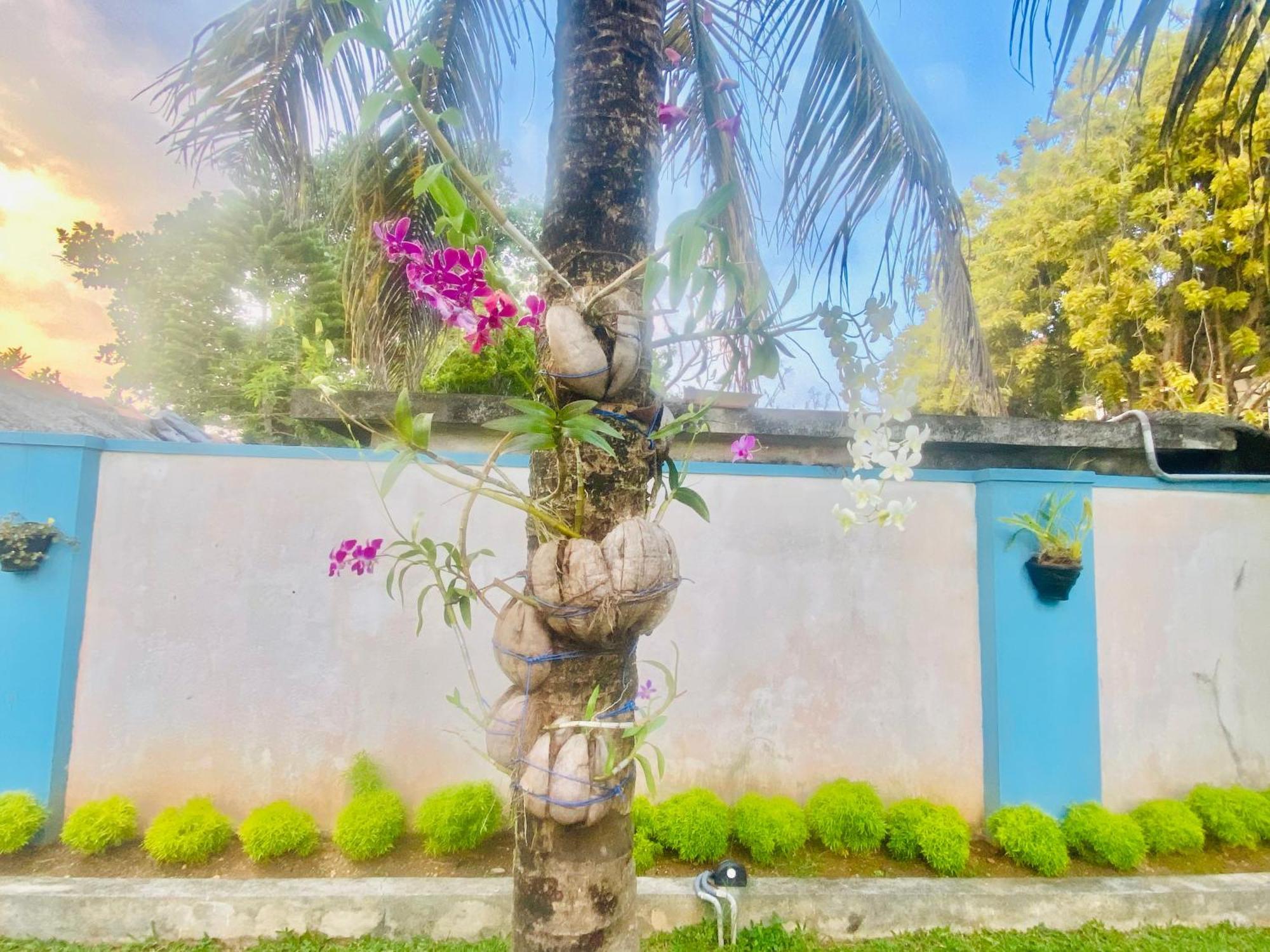 Villa Riverside Aluthgama Esterno foto